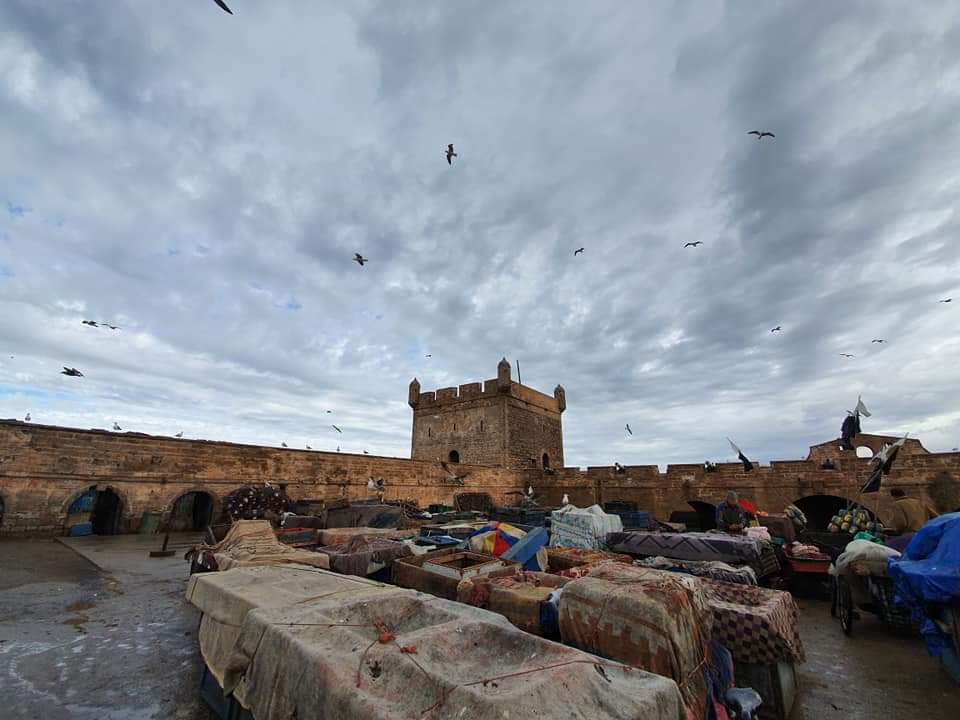 EssaouiraCalls's tweet photo. #Snapshots of the port of #Essaouira #Magestic and #Magical in #equalmeasure! https://t.co/EOGkLP8qjH