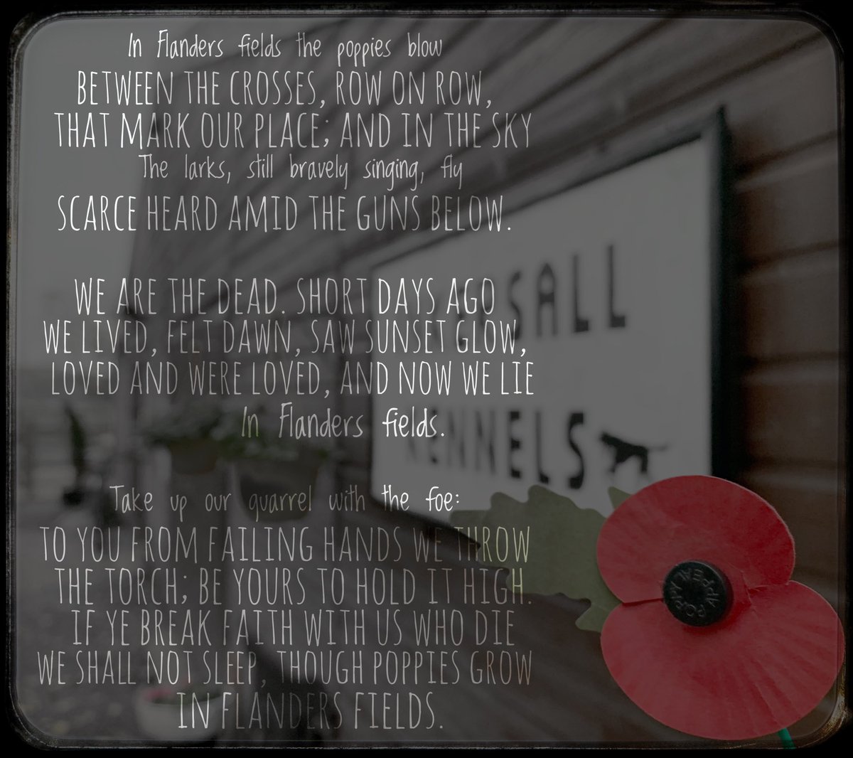 #wednesdaythought #WeWillRememberThem in Flanders field..