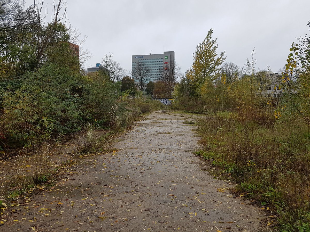 bertvantoever's tweet photo. Mooi om te zien dat door niets te doen er mooie ongerepte natuur kan ontstaan op het voormalige terrein van #BEFU #Hoograven. Heerlijk om zo even rond te wandelen. https://t.co/JYDlZbmtrG