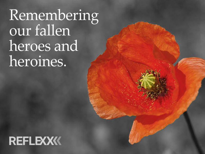 Reflexx Hosting tweet media