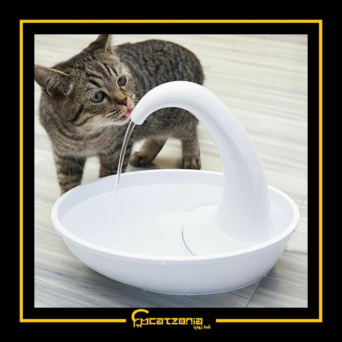 catzopedia's tweet photo. Cats prefer flowing water as in the wild they would be unlikely to drink from still water in case it was stagnant. https://t.co/cd9G2eRRYX