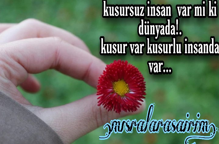 MSairim's tweet photo. @MSairim #beğen #yorum #oyla #yazarpostası https://t.co/zyLGNdagHW