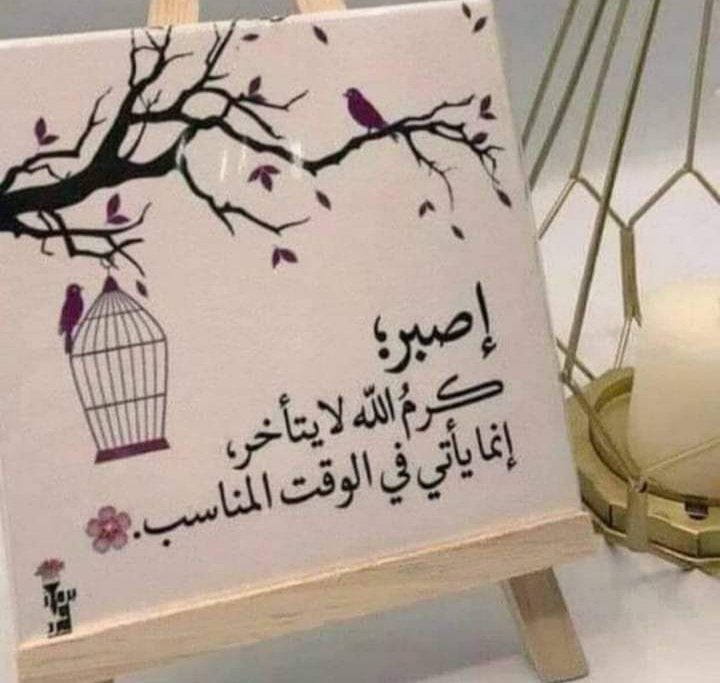 Mooona_12's tweet photo. #النفسيه_هاليومين_تحتاج https://t.co/gsCAEZu8SV