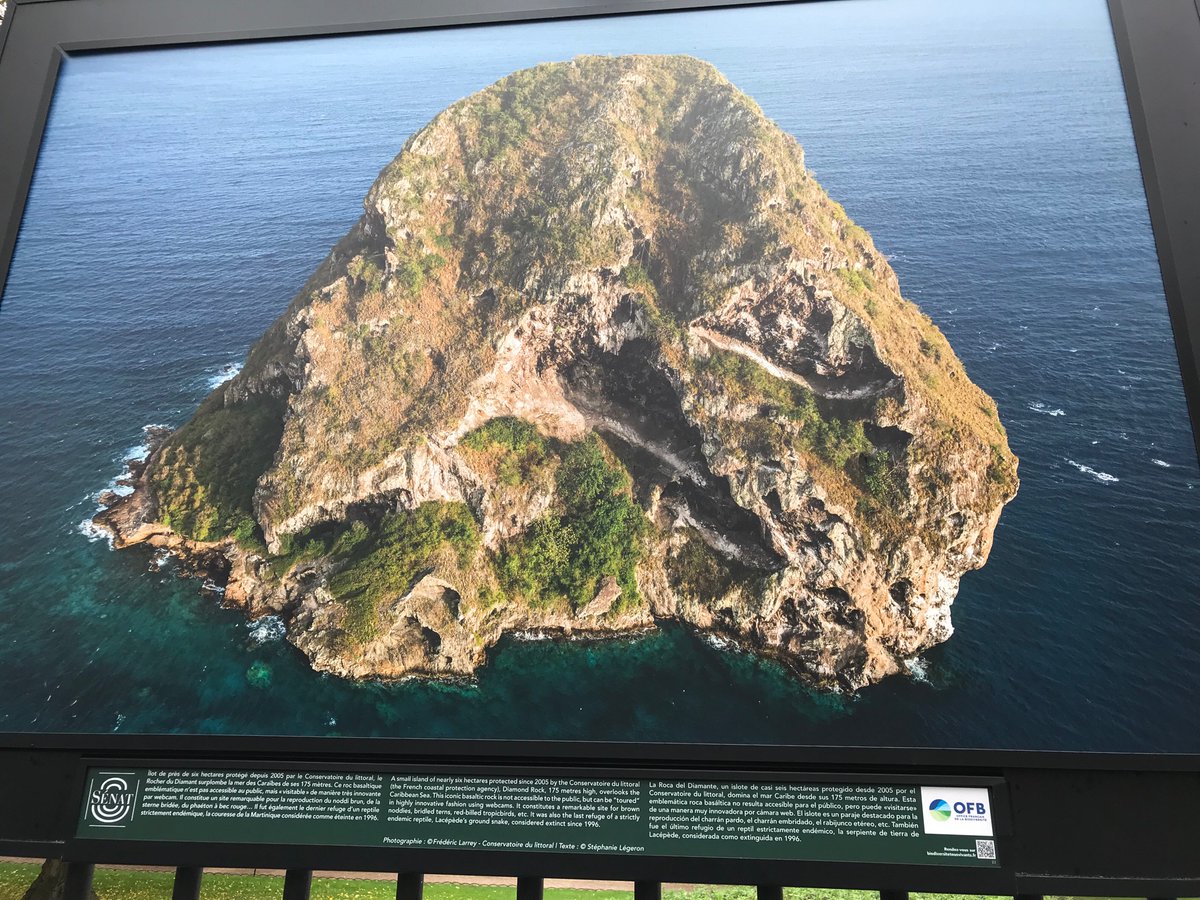 Îlet Loup Garou, rocher du Diamant, riviere du Lorrain, orchidée pourpre sur les flancs de la Montagne Pelée.....la Martinique s’expose sur les grilles du Jardin du Luxembourg
#martinique