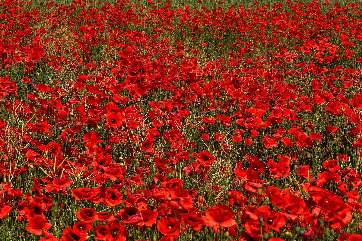 EnergiDC's tweet photo. Lest we forget.. https://t.co/409qMOZiln