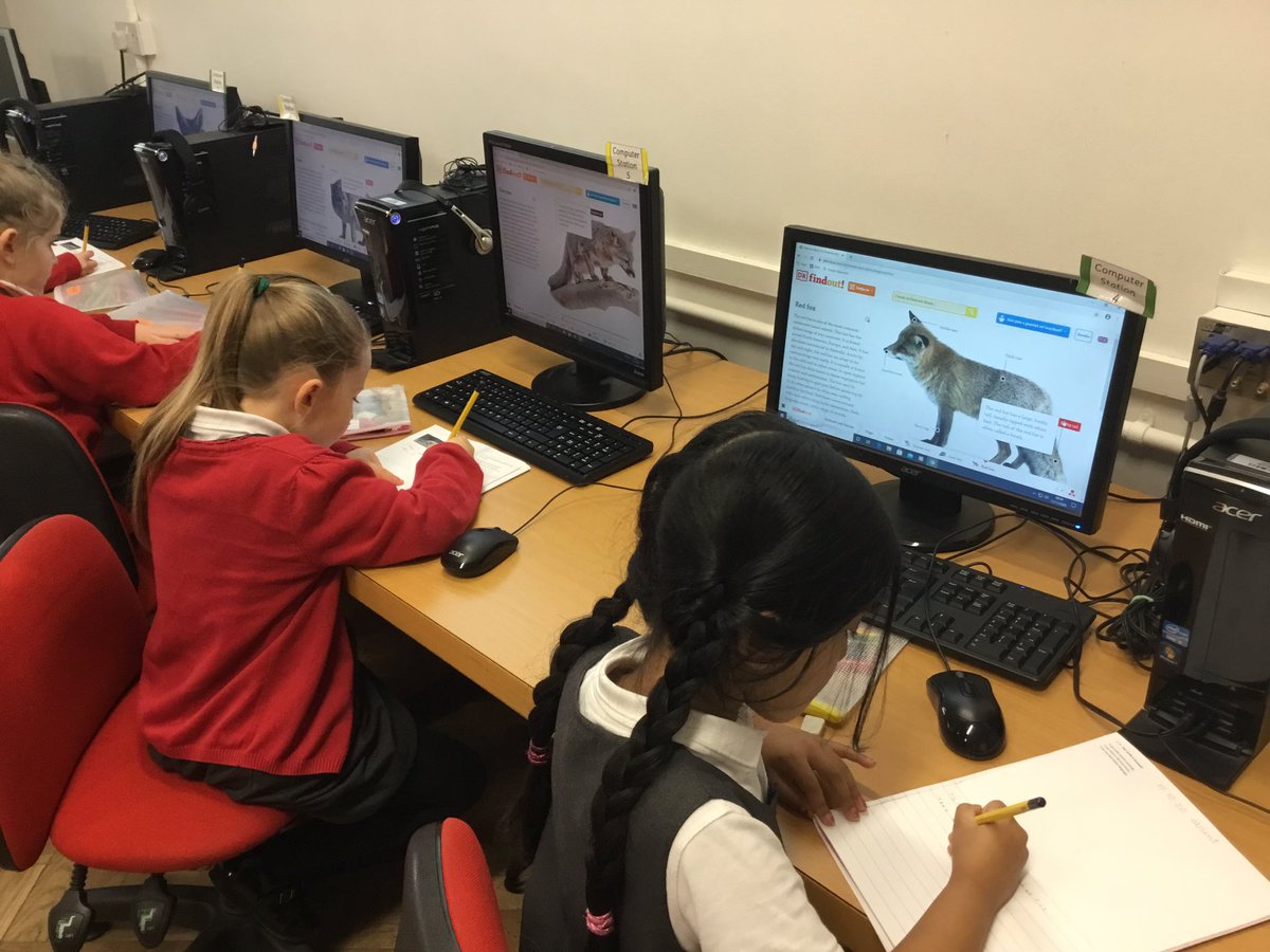 ysgolycastell's tweet photo. Class 2 researching information about foxes for their Google Slides presentation. #dkfindout https://t.co/pwNDDcKB8B