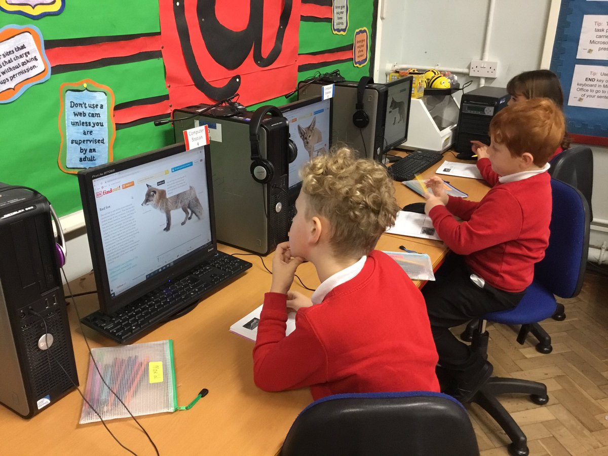 ysgolycastell's tweet photo. Class 2 researching information about foxes for their Google Slides presentation. #dkfindout https://t.co/pwNDDcKB8B
