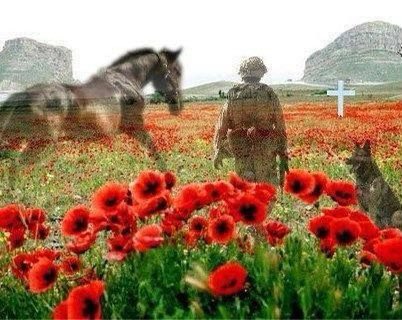 #RememberanceDay