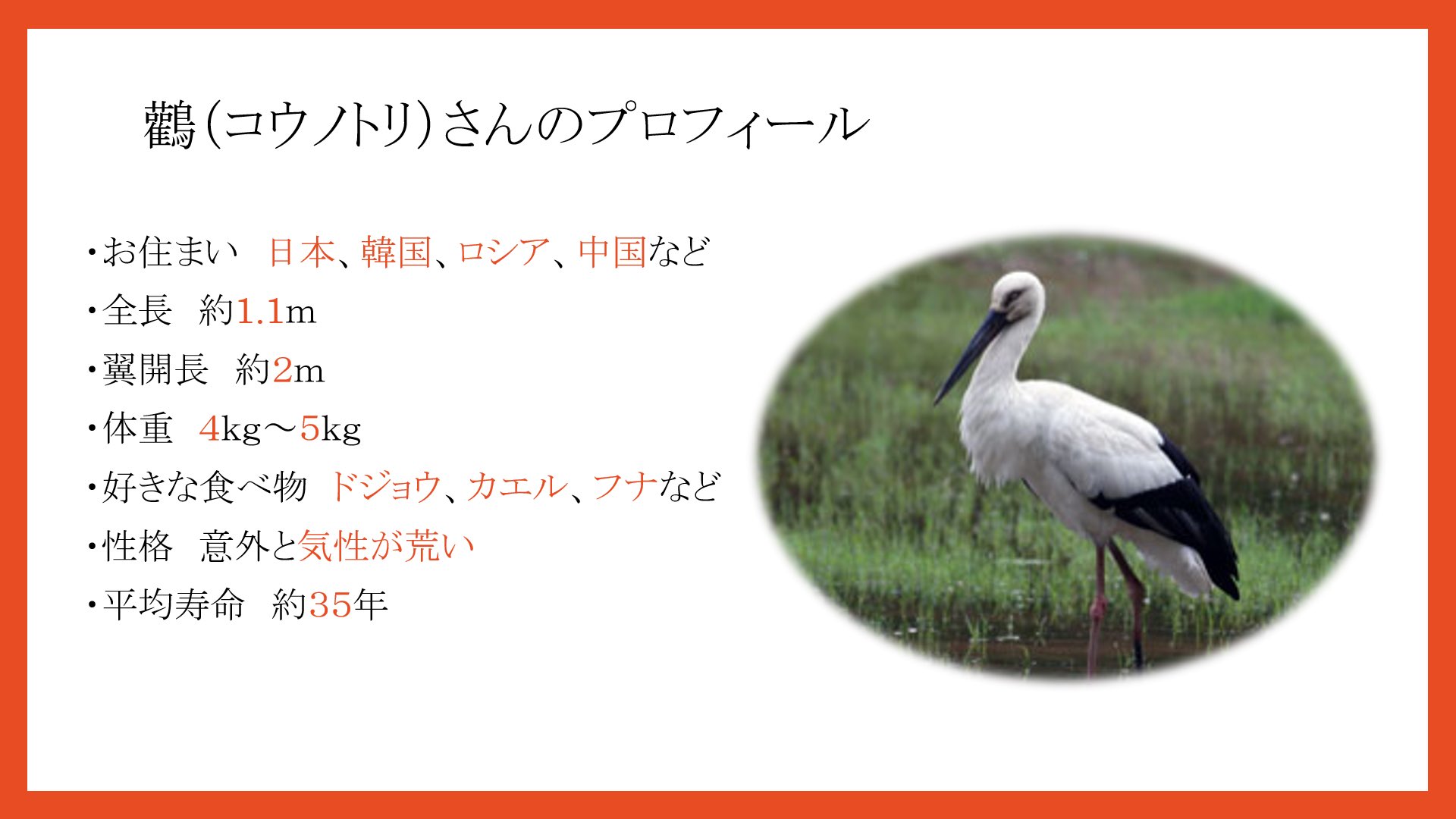 近大歴史等研究倶楽部 こんばんは 本日の午後9時より オンラインで活動します そして こちらが今回のスライドとなります コウノトリの漢字表記 初めて見ました Zoomでの活動となりますので 見学希望の方はdmにてご連絡ください