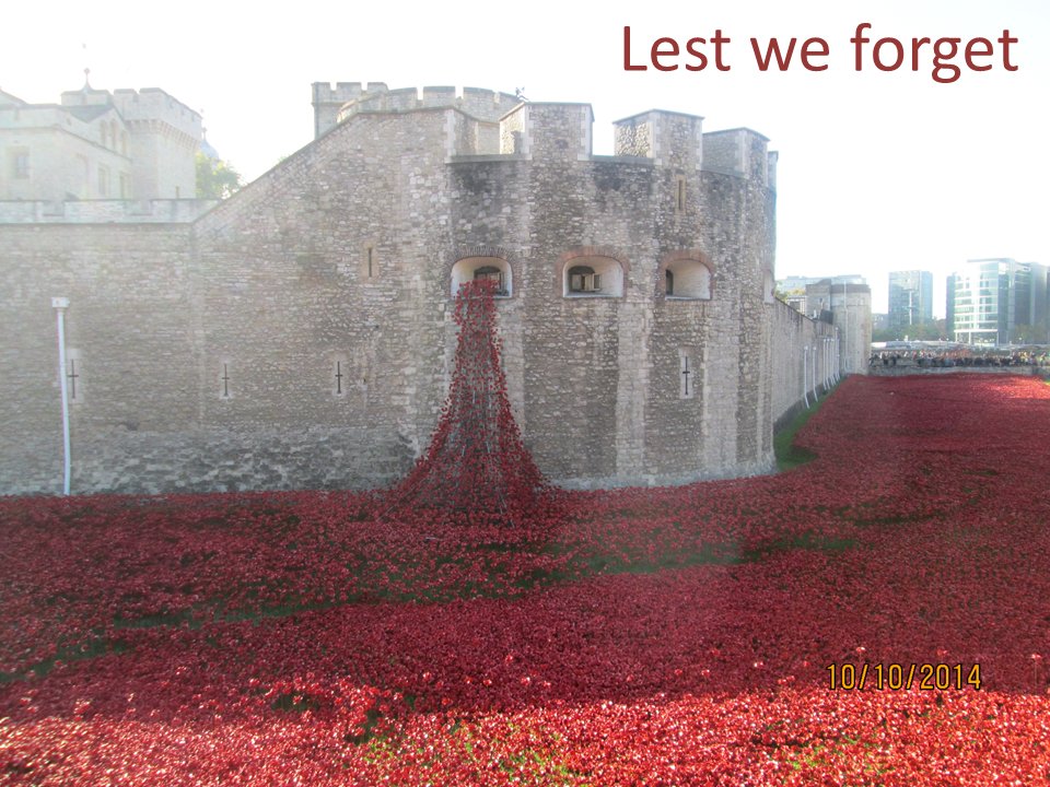 NEL End of Life Care tweet media