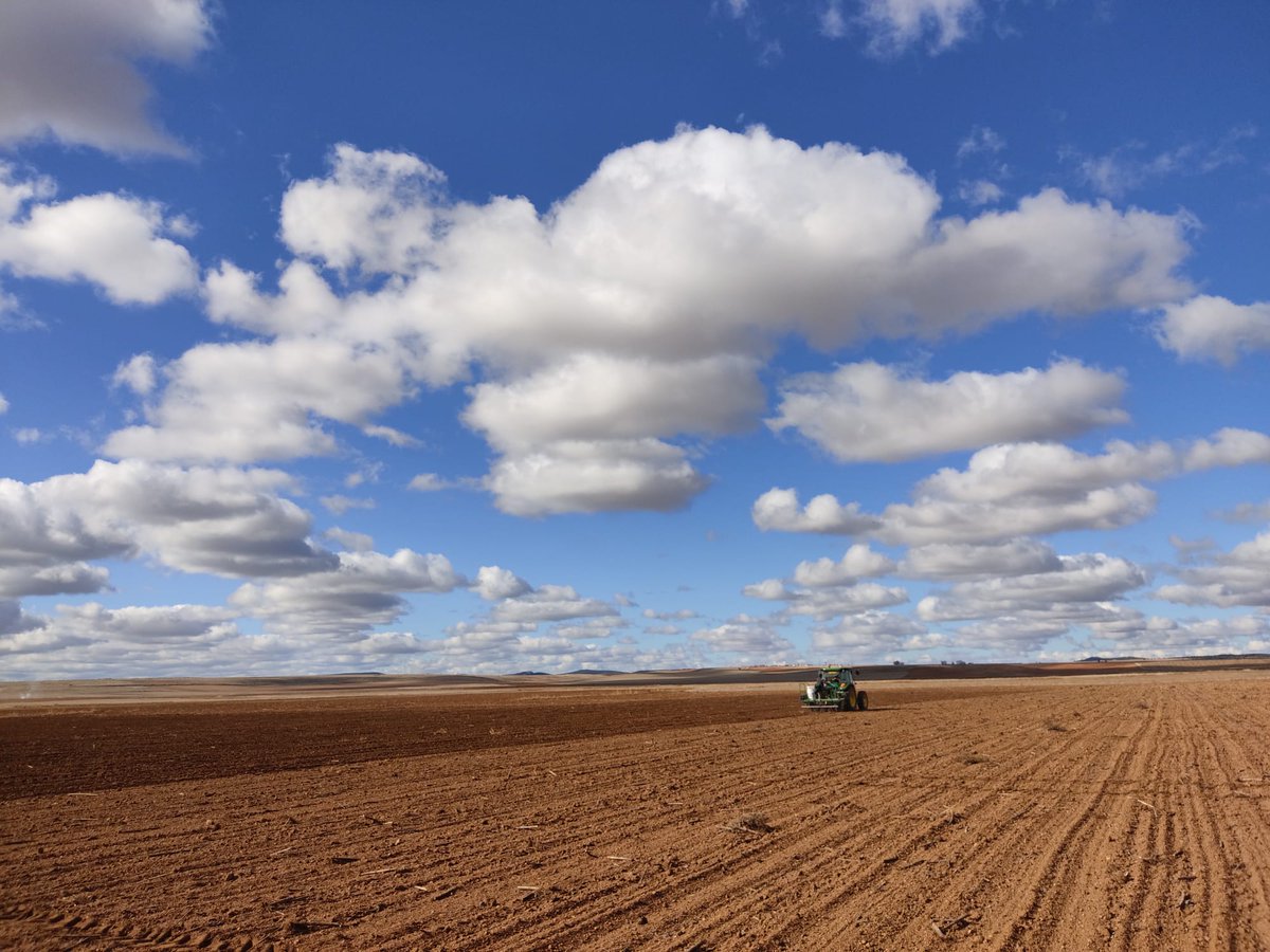 red_arax's tweet photo. 🚜Sembrar bajo este espectáculo de nubes es un privilegio‼️ Ayer dejamos listos los ensayos de Red @GENVCE con #CooparativaLaCumaga🔝 Parcelas dedicadas a #cebadas y #trigos invierno, y #triticales y #centenos híbridos, y una prueba con #camelina para conocer su adaptación🆙 https://t.co/ND9JxEDREV