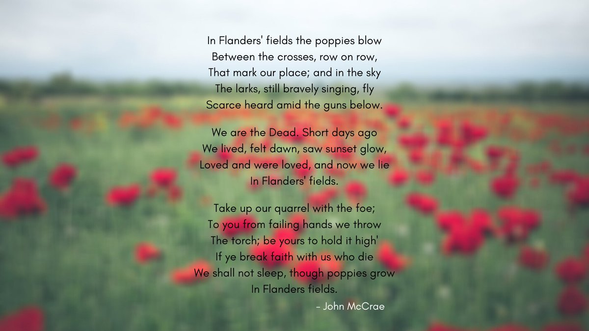 Syndication Nation tweet media