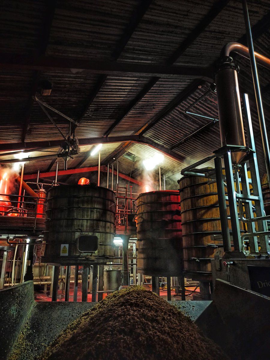 KerryDistiller's tweet photo. Freshly dug mash. 
#dingledistillery #dinglewhiskey #diggingthemash https://t.co/Ahvj3RVoSR