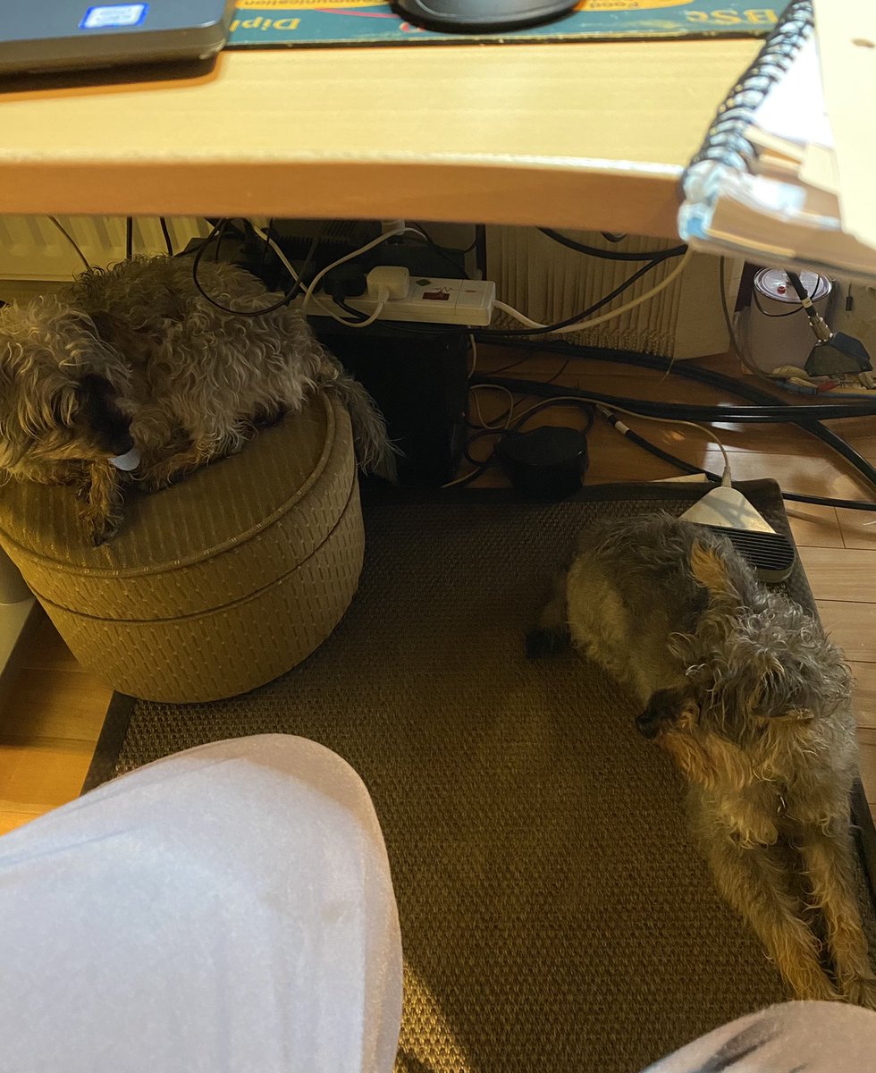 eejaymm's tweet image. Best clinic assistants ever #schnoodle #communitypaediatrics