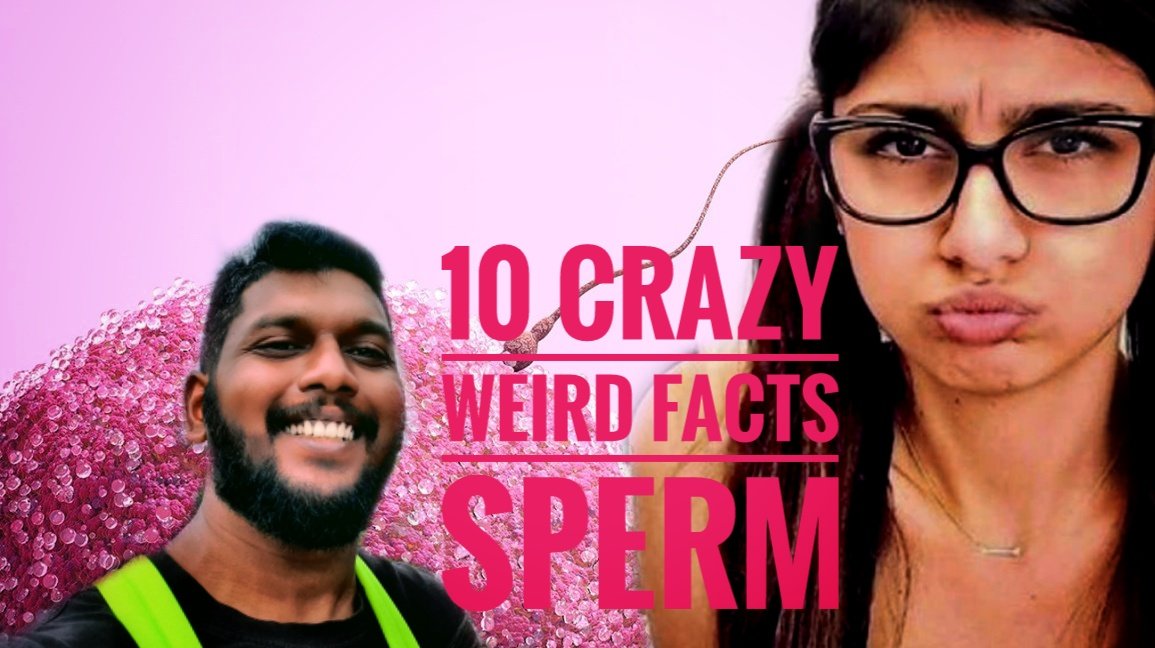 shaasidharan's tweet photo. 10 weirdest crazy facts about sperm
https://t.co/CNRgoc45rs
#sperm #facts #miakhalifaِ #arnoldschwarzenegger #Hitler #napoleón #oneball #contraception #Menopause #mennopause https://t.co/ureXTcWuWO