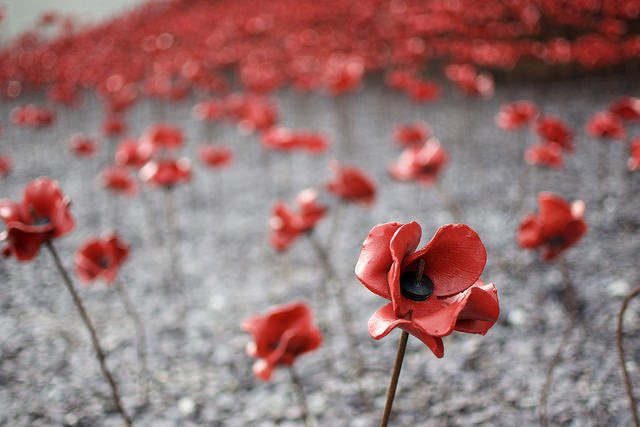 HopeBAssociates's tweet photo. When you go home. Tell them of us and say, For your tomorrow we gave our today. We will remember them 🌹#RemembranceDay2020 We will be joining the 2 minute silence today #ArmisticeDay https://t.co/1K9sJL3ina