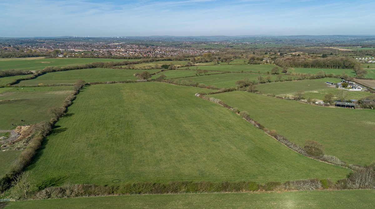 YorkshireTea's tweet photo. Fancy owning a bit of Yorkshire?

The brilliant @LongLandsCommon project hopes to create a brand new woodland near us, owned by the community. It's nearly raised enough but needs a push to hit its target by Nov 20.

You can buy shares and find out more at: https://t.co/0DsfwBQU6q https://t.co/QbzOScPVtl
