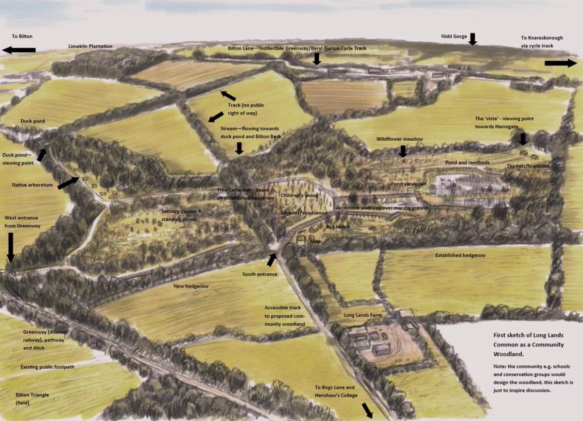YorkshireTea's tweet photo. Fancy owning a bit of Yorkshire?

The brilliant @LongLandsCommon project hopes to create a brand new woodland near us, owned by the community. It's nearly raised enough but needs a push to hit its target by Nov 20.

You can buy shares and find out more at: https://t.co/0DsfwBQU6q https://t.co/QbzOScPVtl