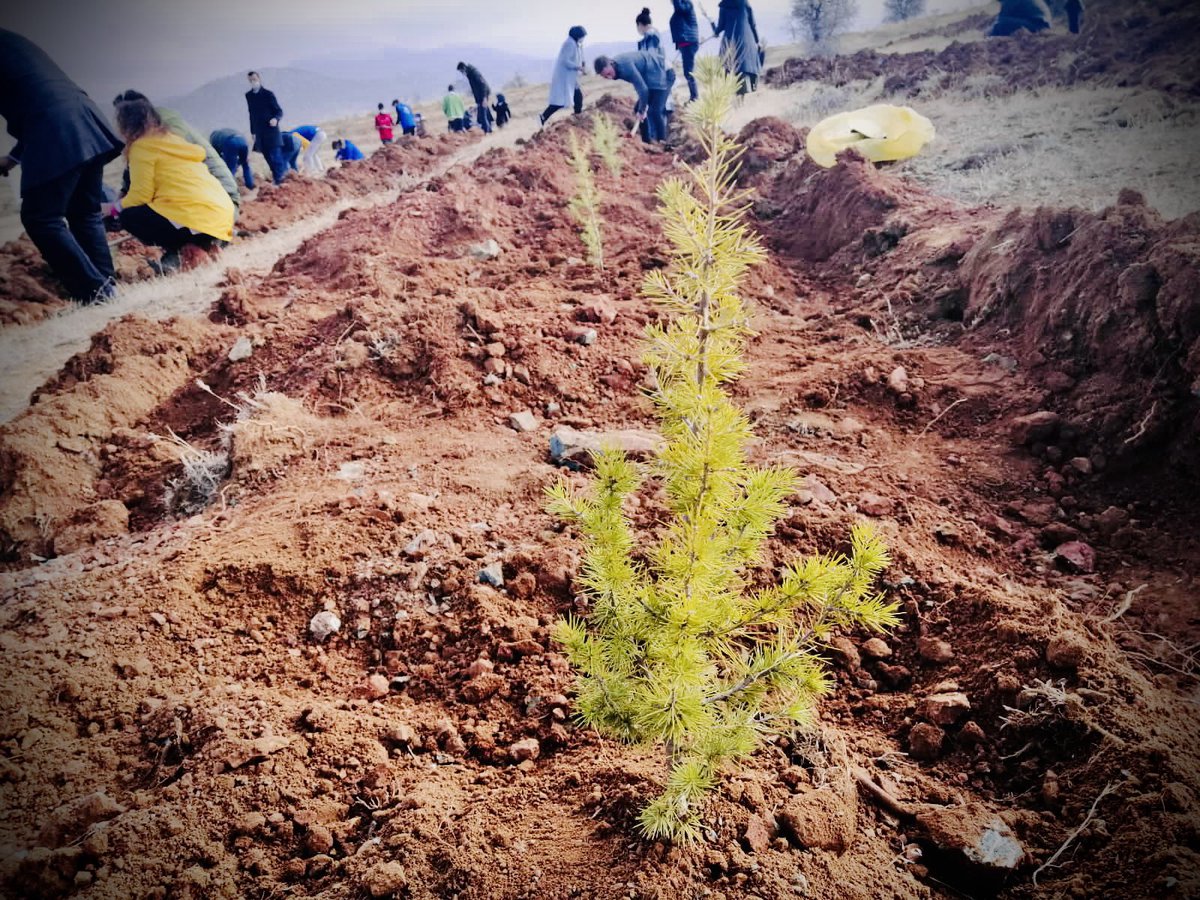 rozgurtunc's tweet photo. 🇹🇷11/11/2020
🇹🇷#Milli Ağaçlandırma Günü 
🇹🇷#Geleceğe Nefes Ol                                @tcmeb @SeyitAliBuyuk @mmustafayavuz @myilmaz2023 @MustafaSAKARYA @cvlzahu @DAVULCU_B https://t.co/Gfn9mub55K