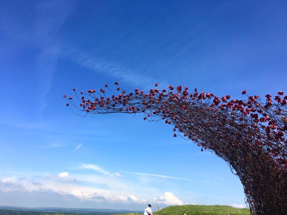 AspireCountry's tweet image. At 11am we will remember them.  Please don’t call us for two minutes at that time.  Thank you.  #ArmisticeDay