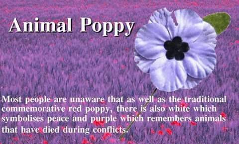#ArmisticeDay For all who gave their lives #TwoMinuteSilence