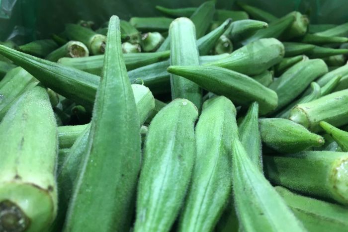 ABC Brisbane tweet media