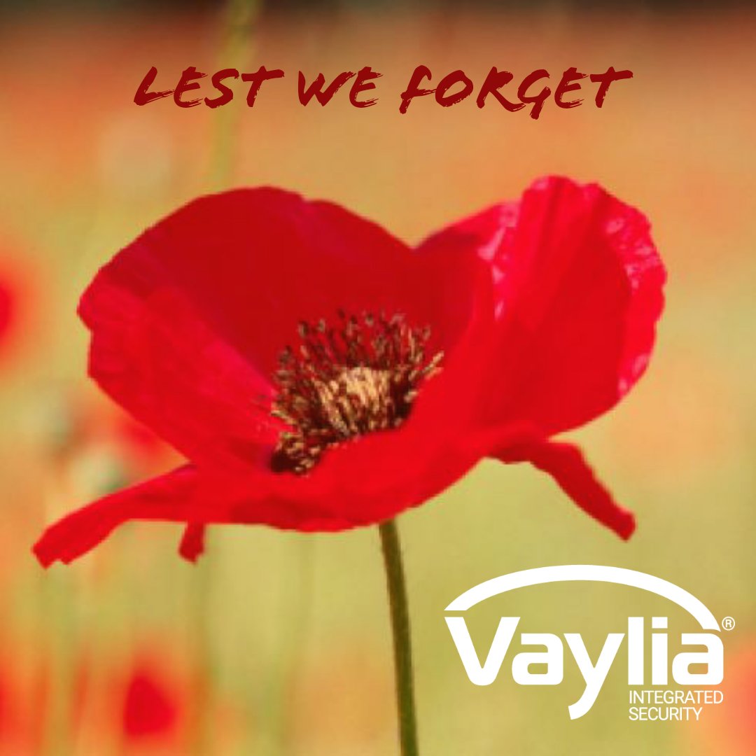 Vaylia tweet media