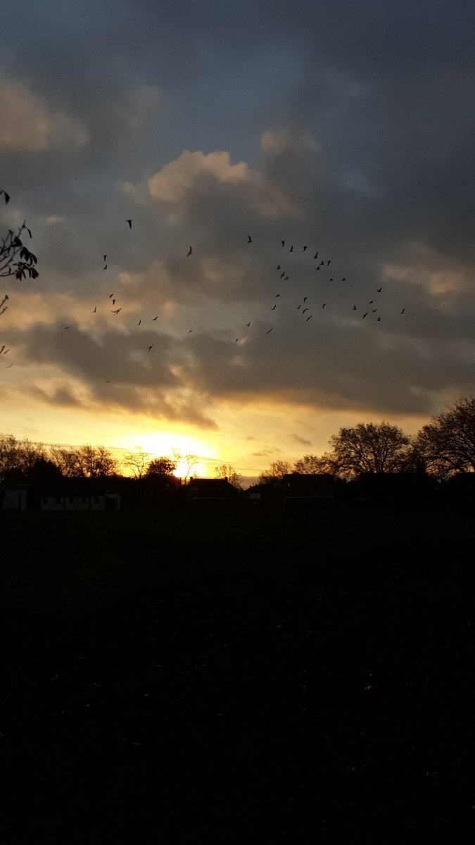 farrahraja's tweet photo. #Twitter is the word used by #Keats in the last line of #Ode #ToAutumn

"And gathering swallows twitter in the skies."
#JohnKeats https://t.co/94JqjkgT1s
