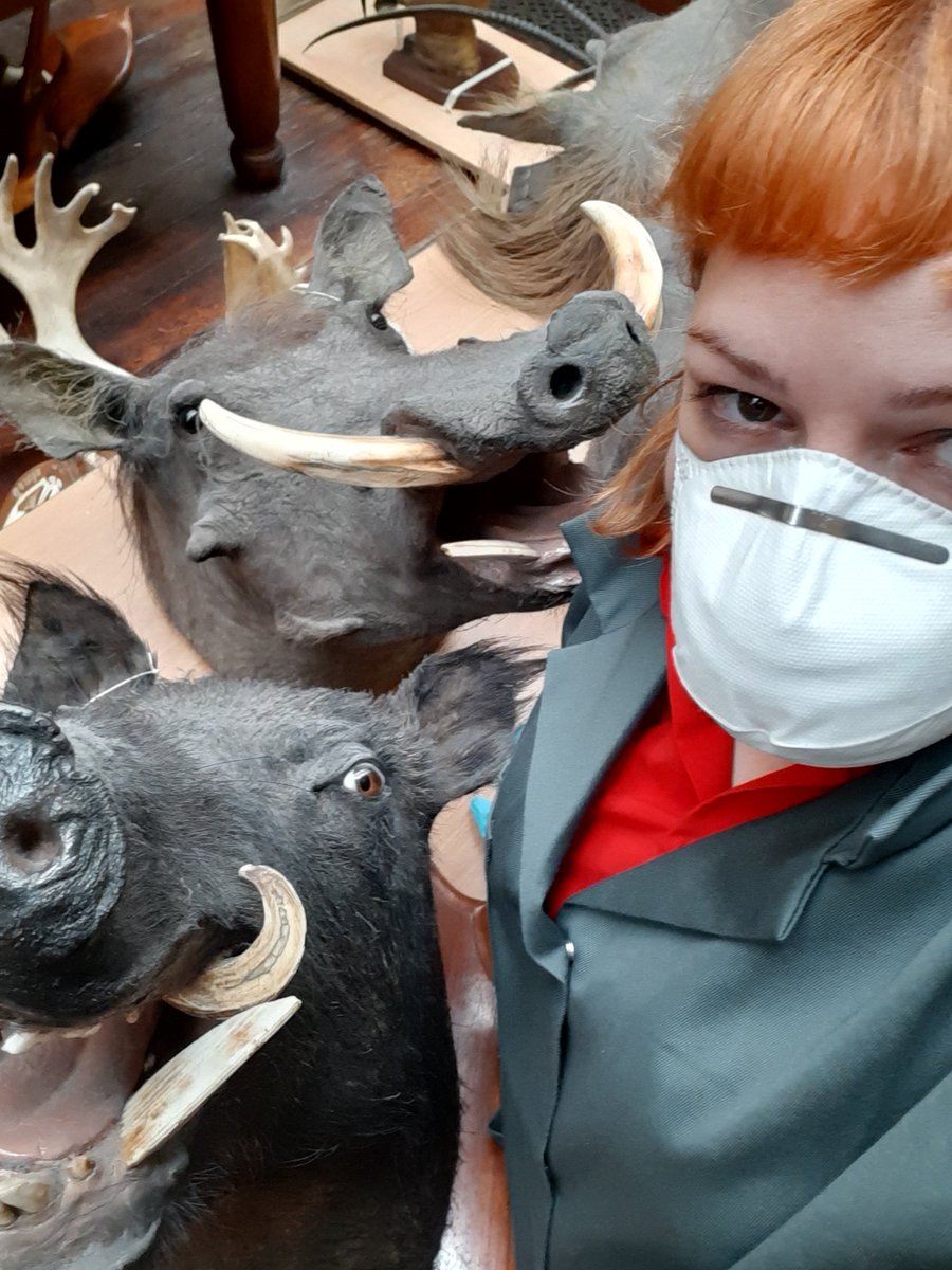 Hello! My name is Silvia Da Rocha and I'm a Preventive Conservator at the NMI. As part of  #ScienceWeek2020 I'll be sharing some of the sometimes exciting, sometimes mundane things I get up to in a day  @scienceirel