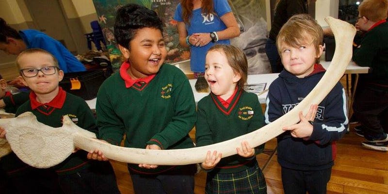 midlandsscience's tweet photo. Today in schools across the midlands, we have the Rediscovery Centre, the Exploration Dome, Marine Dimensions, Anyone 4 Science, Secrets of Superhero Science & The Irish Peatland Conservation Council. Tonight it's Baking in Space !! We're having a whale of a time !! #scienceweek https://t.co/TVy0pwEm16
