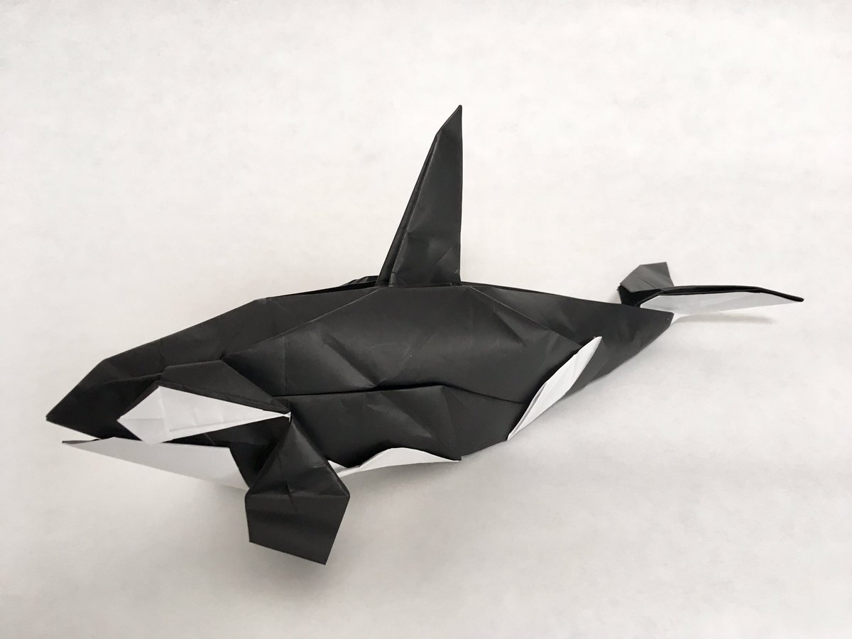 Minato3373 シリーズ第4弾 シャチ 折りました ティコの背に跨がるの 憧れたな 創作 制作 私 不切正方形一枚 折り紙作品 シャチ T Co Gsshye2ljy Twitter Minato3373 シリーズ第4弾 シャチ 折りました ティコの背に跨がるの 憧れたな 創作 制作 私 不切正方形一枚 折り紙作品 シャチ T Co Gsshye2ljy Twitter