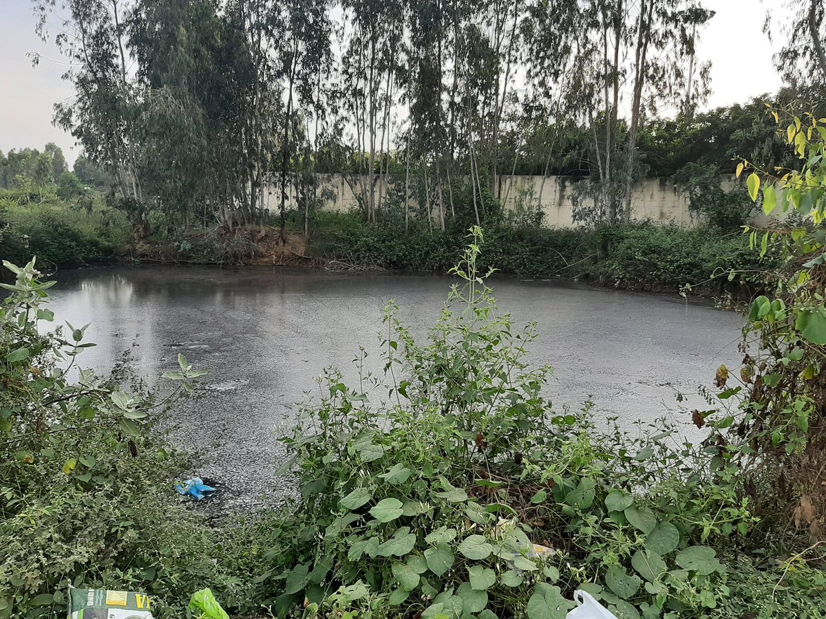 RanjeshHebbar's tweet photo. The stink at the entrance and in the open area adjoining the plant due to the leachate accumulation is unbearable. Just imagine the irreparable damage done to groundwater. The condition is worse than a year back when BBMP promised SOPs to fix all issues. @ELCITA_IN @BBMPCOMM https://t.co/D95IPrQ1oo