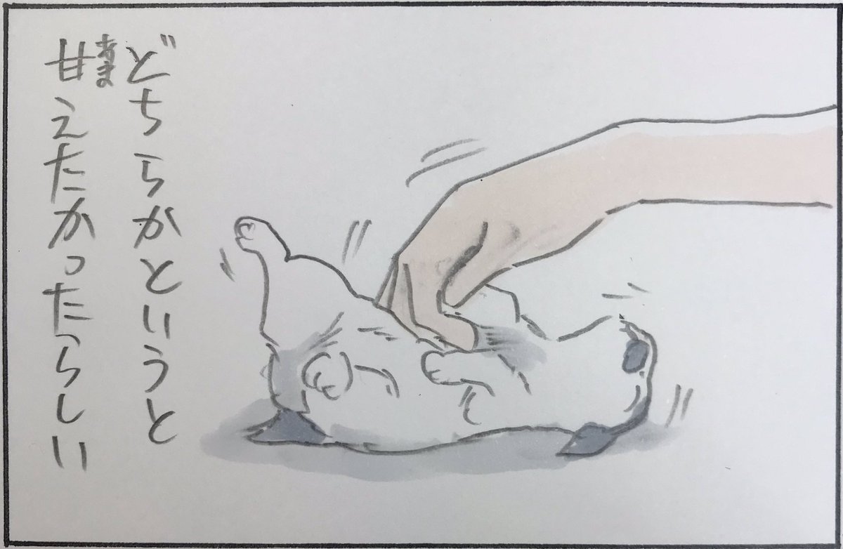 『どちらかというと』 