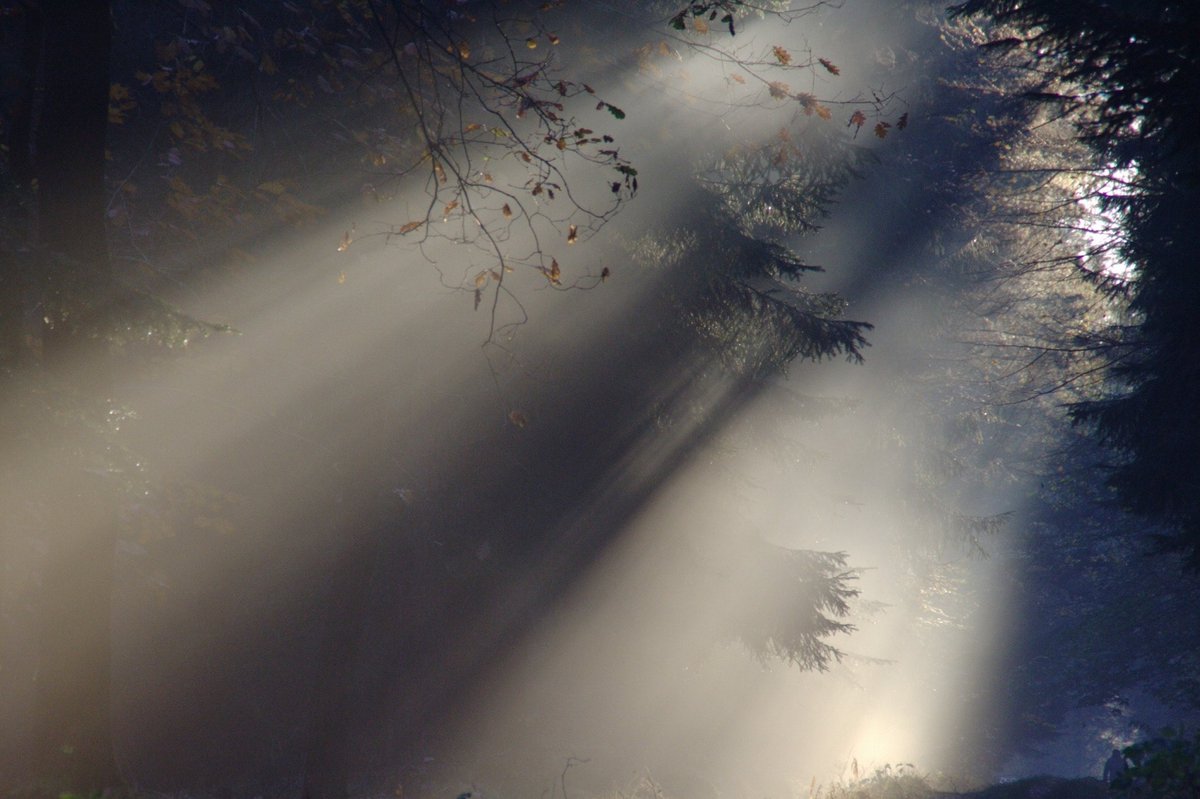 TheNorthDigital's tweet photo. This fog won’t be mist 😉☁️
While we’re spending more time indoors showcase your product online!
We provide branding, photography, web design, SEO & social media
Send us a PM today!
https://t.co/YkbQwXTYhe 🖥 #Fog #Autumn #Adworks #Business #York #Online https://t.co/D9cgLYBbXf