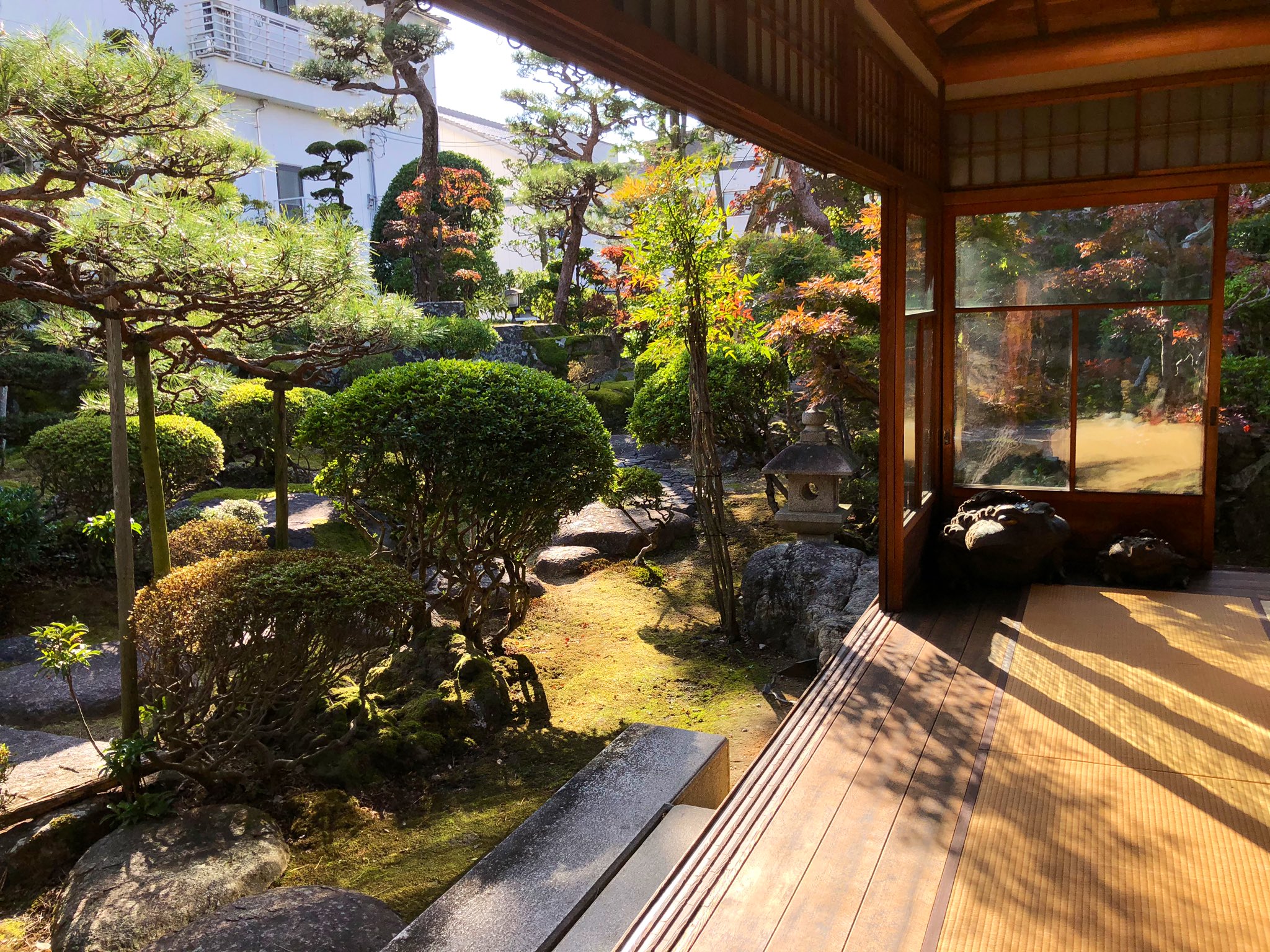 jardin avec piscine mur-verre-escalier-deco-interieure