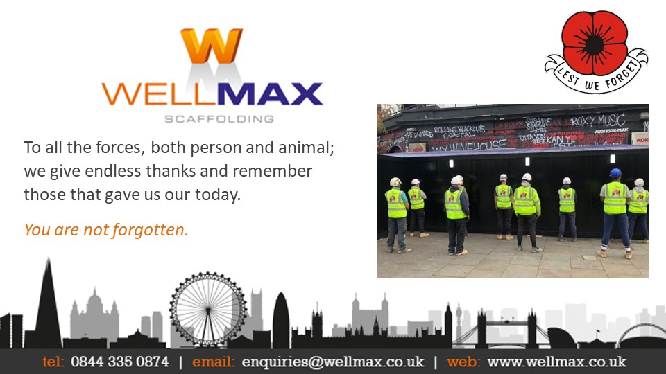As the 11th hour approaches, all staff at WellMax wear with pride, the infamous symbol of the poppy for remembrance and hope for a peaceful future.