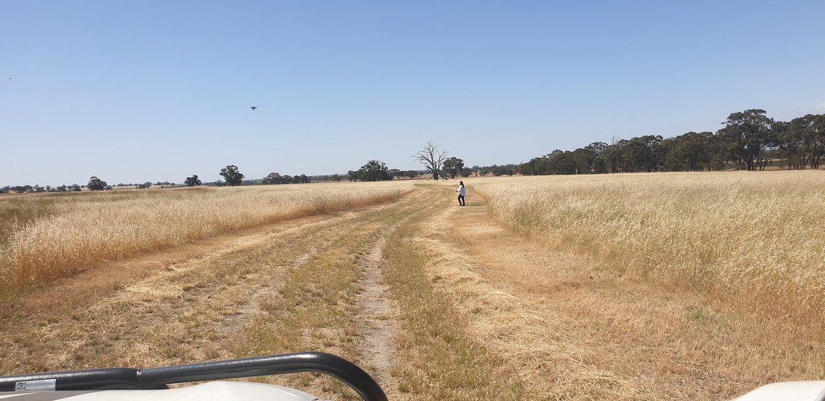 Rebekah Lowe tweet media