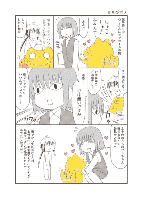 人が大好きでたまらないポメラニアンVS通りすがりのお姉さん、その2。犬が仕事着の人に寄って行った時は「お仕事中だから邪魔したらダメよ」と止めるんですが、たまに「いや全然邪魔では無いです」と言ってなでてもらえますw  #宗次郎Jr #ちびポメ 