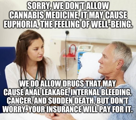 cannaworldsite's tweet photo. https://t.co/v4gzLTfy7B