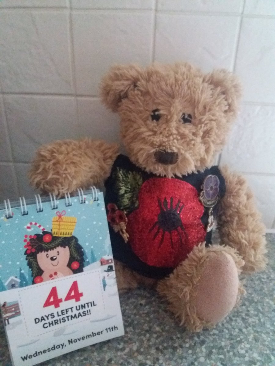 pissedbear's tweet photo. Happy #RememberanceDay #LestWeForget โค #Christmas #Christmascount https://t.co/BHlu7ECJRP