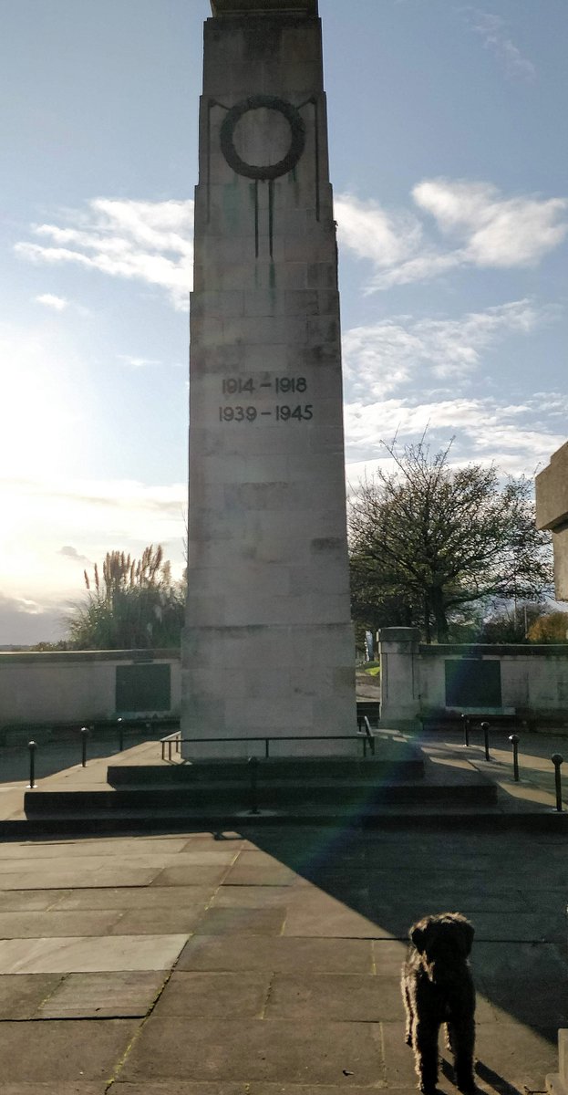 StinkyPondDog's tweet image. On the 11th hour of the 11th day of the 11th month we will remember them, all of them.
#ArmisticeDay #AnimalsOfWar