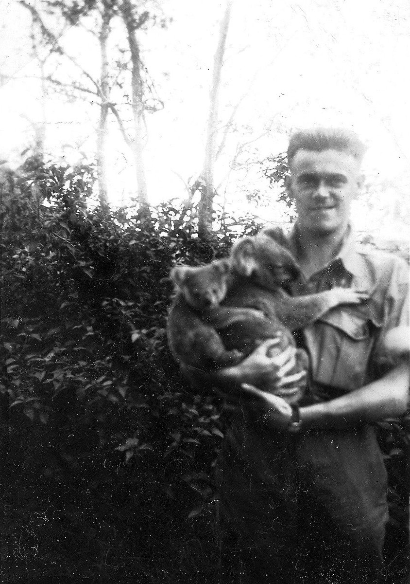Who will you be remembering at 11?
I have my grate-grandad, who served in Burma, my grandma WAAF and served at Bletchley Park and her husband (my grandad) also in the RAF in Morotai #ArmisticeDay #sussexremembers #RemembranceDay2020 #WeWillRememberThem <a href="/aircadets/">RAF Air Cadets</a> @fscalvert249