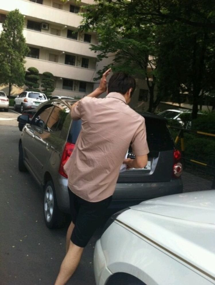 secret forest meme collection thread: