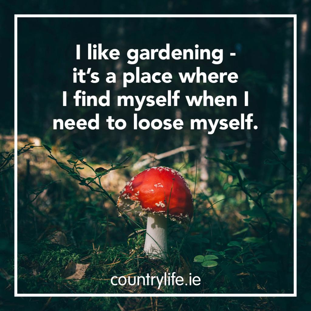 countrylifegc's tweet photo. Get lost in your garden🍄 

#GardeningMakesPeopleHappy #CountryLifeGardening #GardeningIsGoodForTheSoul https://t.co/b1hA6QFyXQ