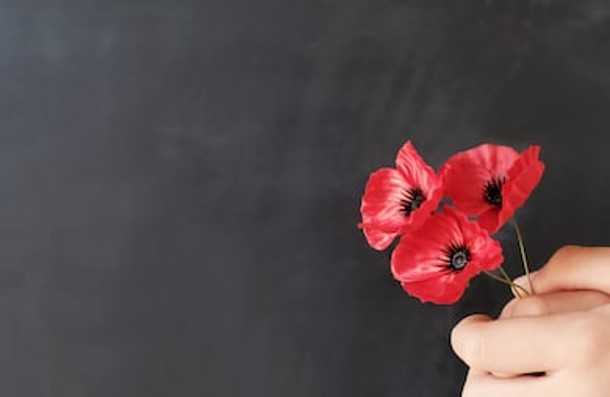 arv_ads's tweet photo. #RemembranceDay2020 
#RemembranceDay
#LestWeForget https://t.co/bf02BjK76Y