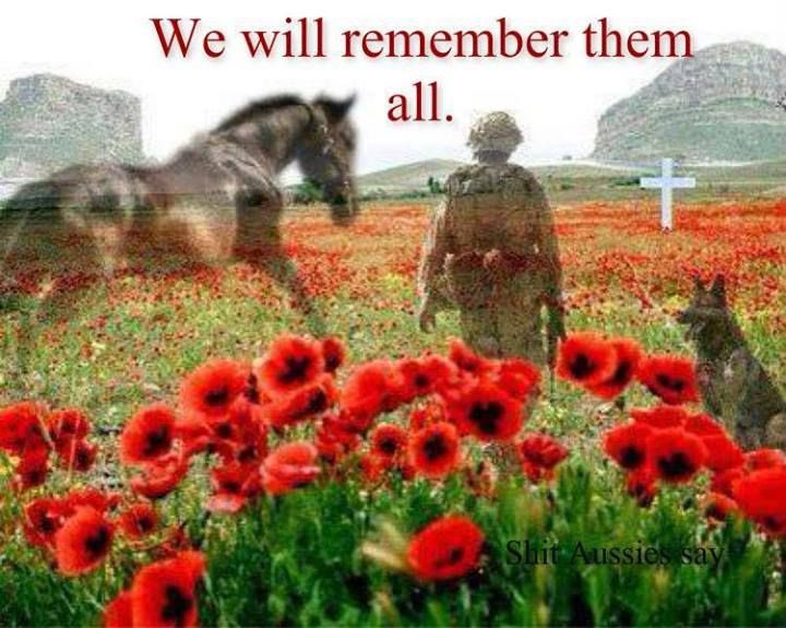 InLocoEvents's tweet image. We will remember them all

#lestweforget  #rememberancesunday #murphysarmy #poppy #redpoppy #purplepoppy #wewillremeber #remeberanceday 
#remberancesunday2020