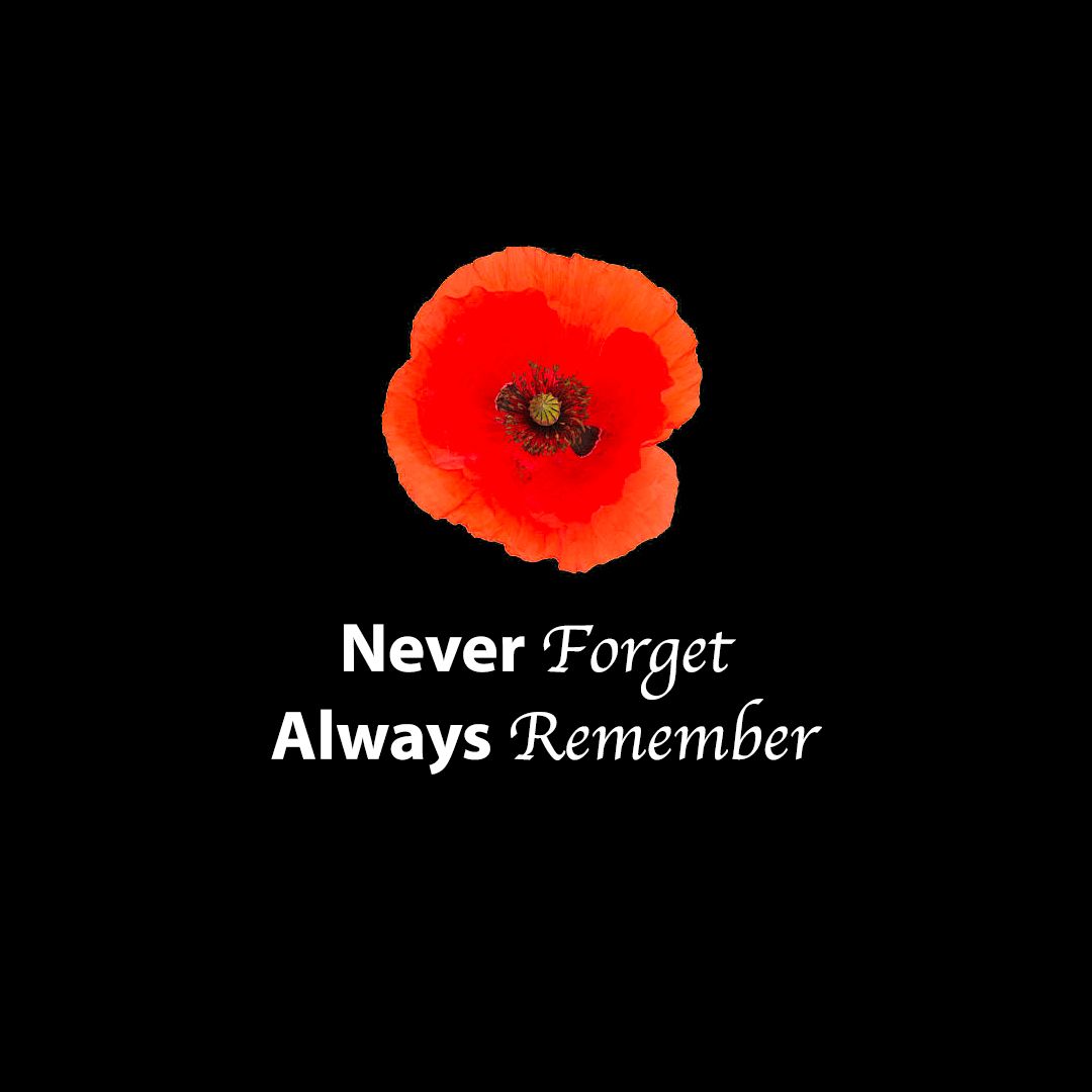 "On the 11th hour, of the 11th day, of the 11th month, we will remember them."