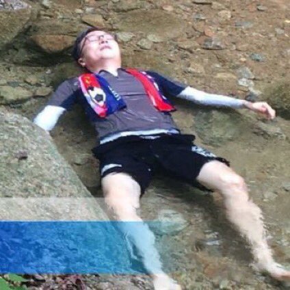 secret forest meme collection thread: