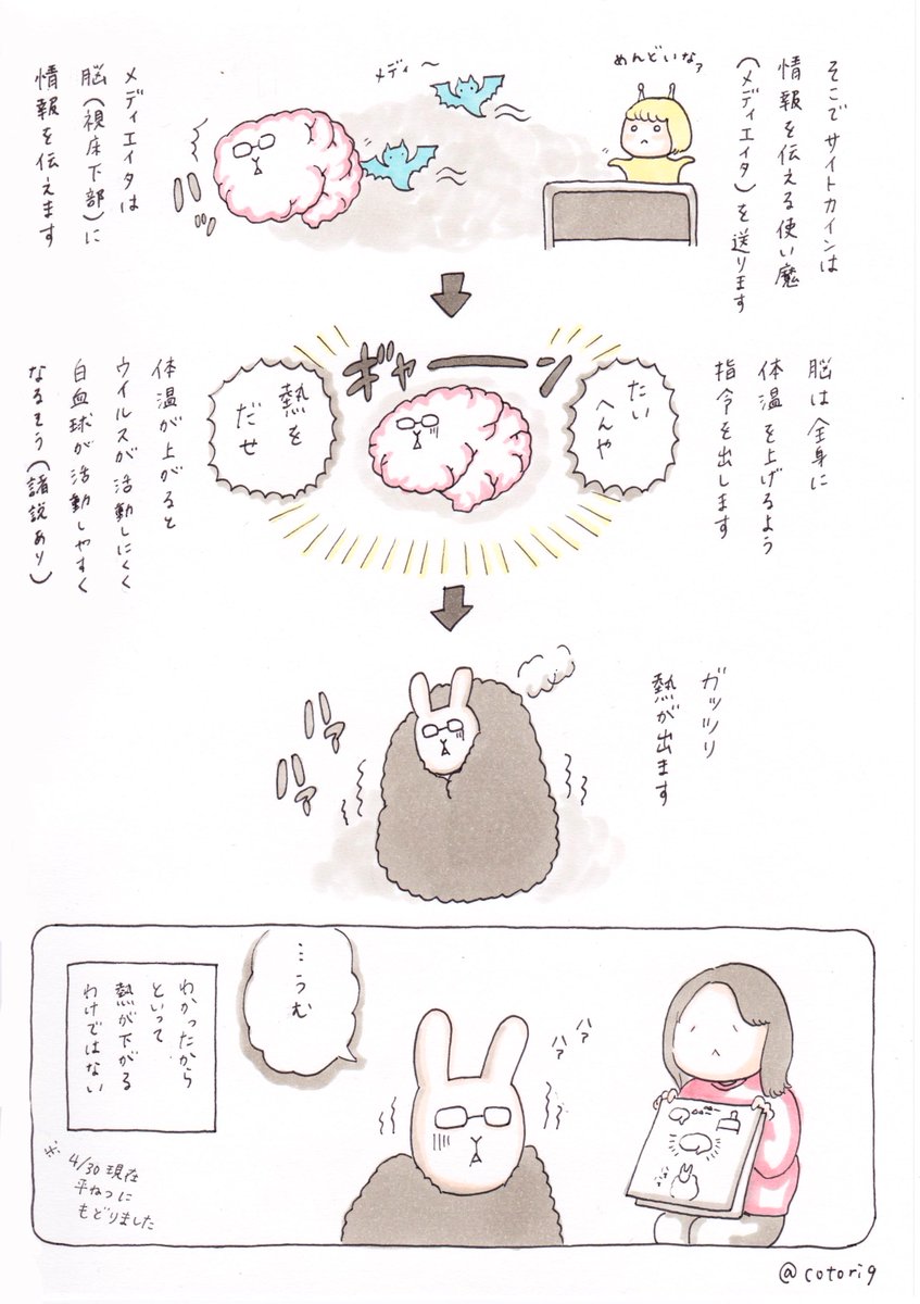 【過去作プレイバック】夫に頼まれて描いた「熱がでるしくみ」のマンガ。今見るとちょっと字が小さいですね。お熱には気をつけよう…! 