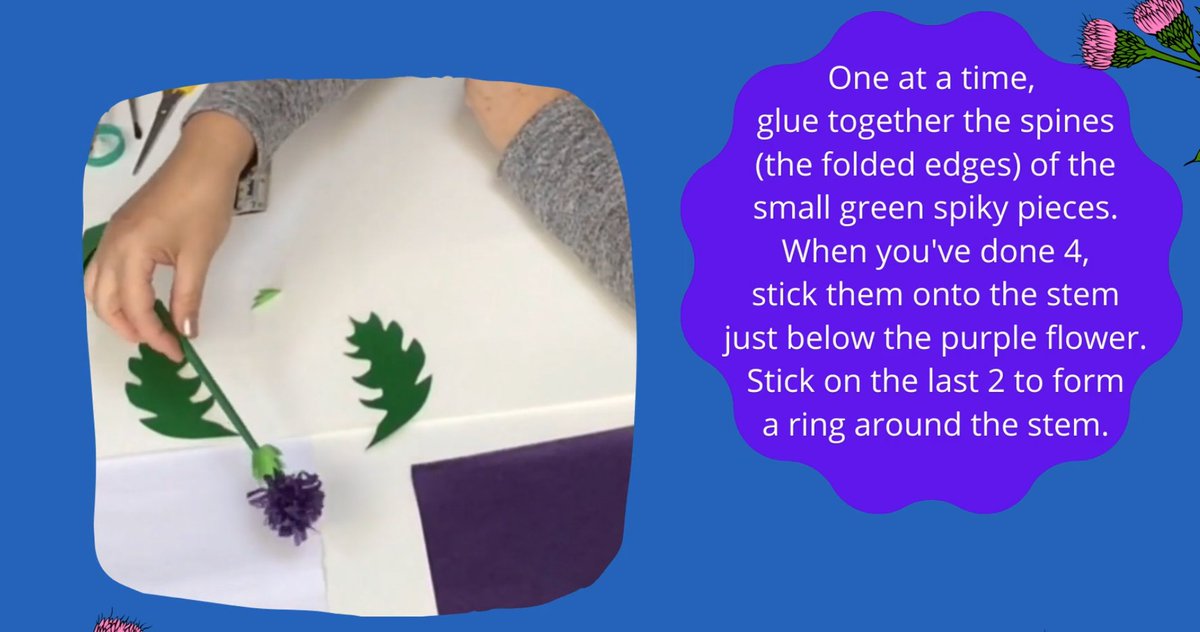 hackneylibs's tweet photo. #StAndrewsDay is Scotland's official national day. Celebrate by making a gorgeous bouquet of Scottish thistles, just like our librarian Jana! Watch the tutorial on our YouTube channel: https://t.co/zzRtTB48rC #MarvelousMondayMaking #crafts @LF_Primary @StokeySchool @STAHackney https://t.co/bqCxoa7JKI